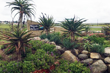 Landscaping_Transkei_Eastern_Cape_South_Africa_3