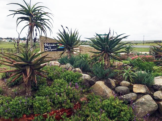 Landscaping_Transkei_Eastern_Cape_South_Africa_3
